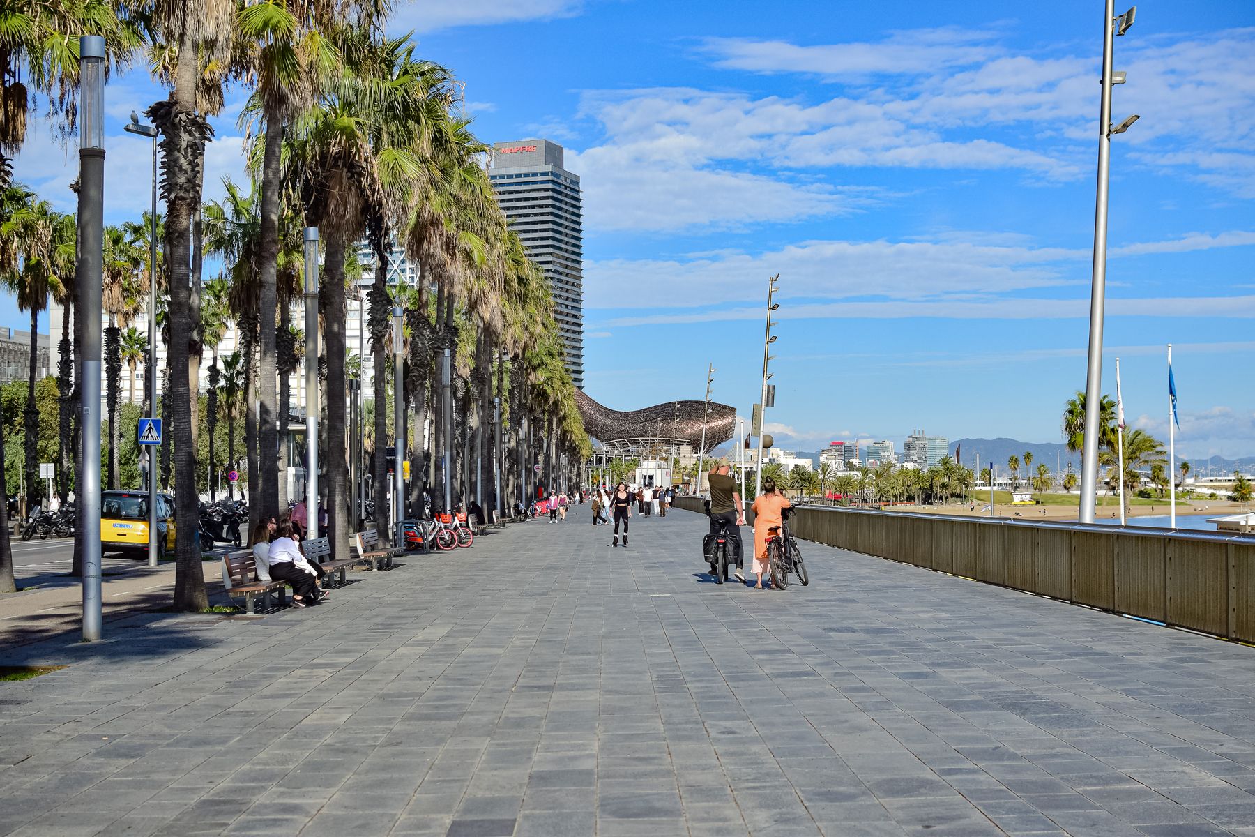Barceloneta and the waterfront in Barcelona