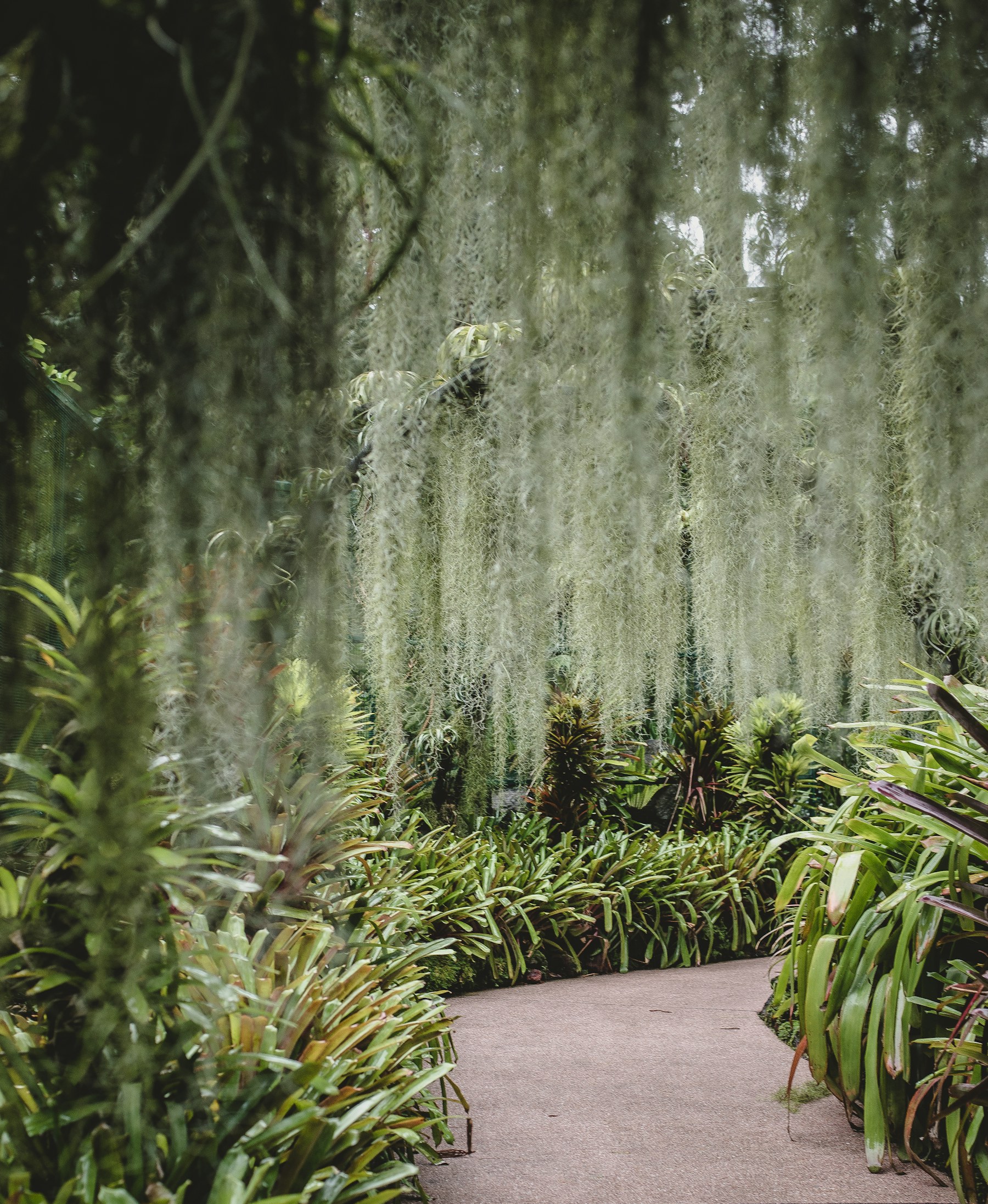Singapore Botanic Gardens in Singapore